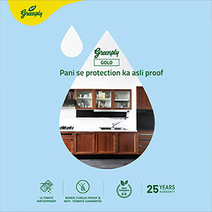 Greenply Gold Plywood