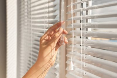 Vanishian Blind Work
